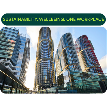 _295 x 221px - More than (350 x 350 px) (5).png